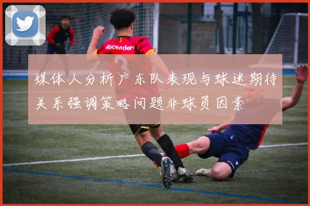 媒体人分析广东队表现与球迷期待关系强调策略问题非球员因素